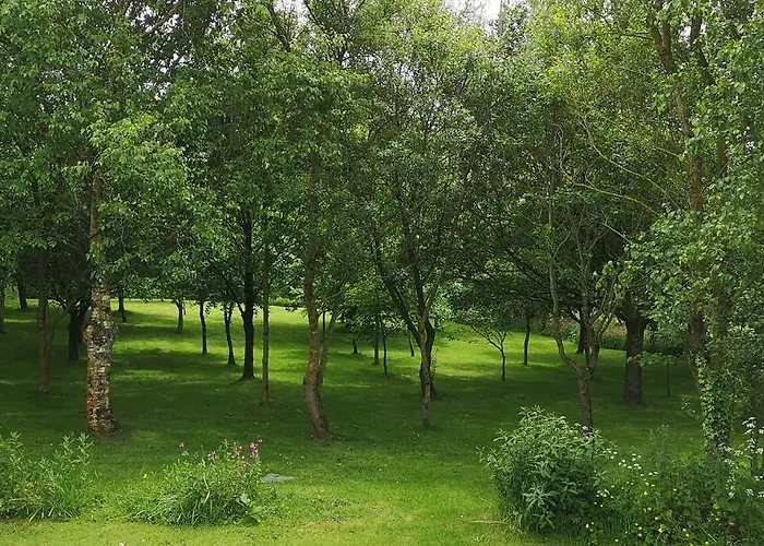Hedgehog Holiday Home In The Countryside, 10 Mins To Lligwy Beach